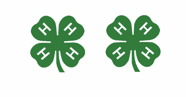 Decal 1/64 4H Logo 1/4"