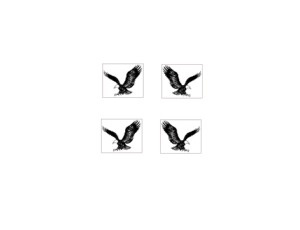 Decal Eagle Black on Clear, small 3/16" 2 pair DX2820