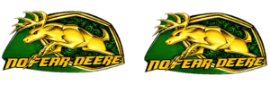 Decal 1/64 No Fear Deere 1/2" DX663R